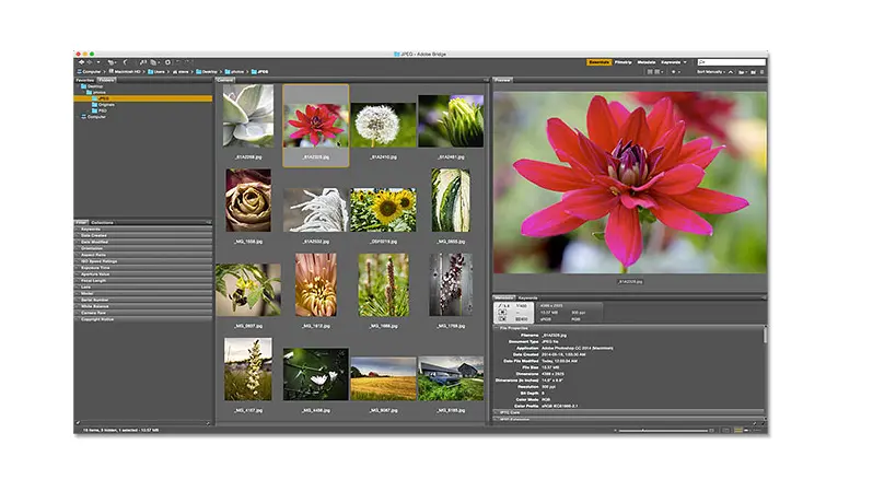 Adobe Bridge 2025 Free Download